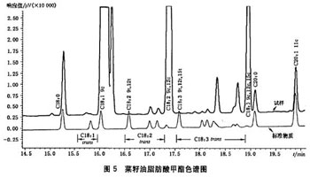 圖5